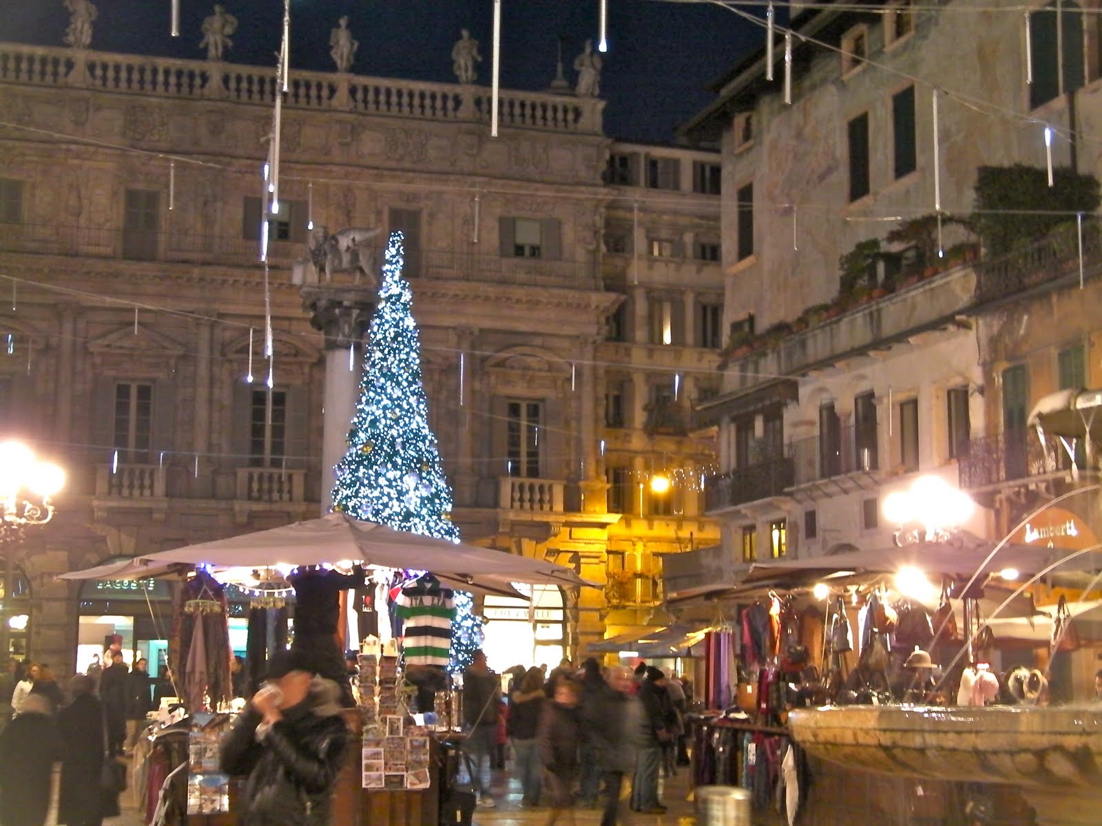 Albero Di Natale Sogno.Occhio All Onda Alberi Di Natale Sogno Per Restare Bambini