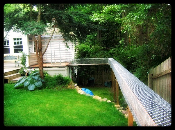 Outdoor Cat Enclosures