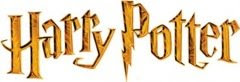 harry potter party ideas