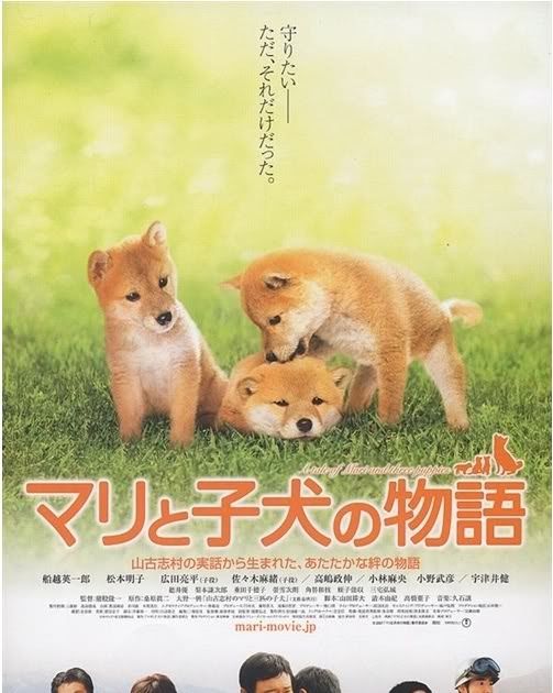 A Tale of Mari & Three Puppies - Asian Cinema