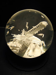 Sherri Hay "Disasters" (photo from the gallery)