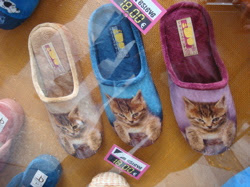 Some very special kitten slippers we spotted in a zapataria window