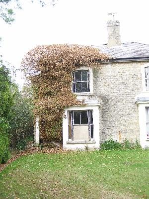 House+with+ivy.JPG