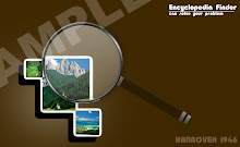 lost discoverity
