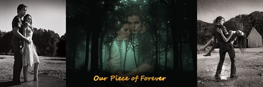 Our Piece of Forever