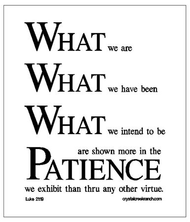 Sayings or quotes
