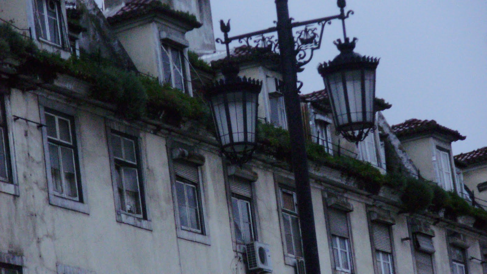 [P2200121.JPG]