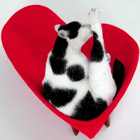 Like Kittysville Retro Modern Pet Bed