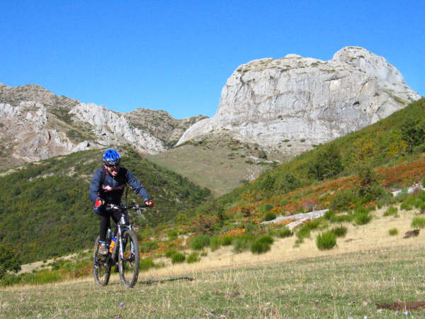 [IMG_8270.JPG]
