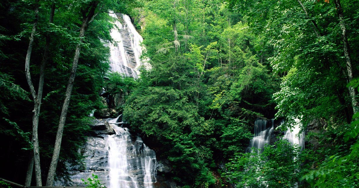 Topeljungle Hunting the Paulding Forest WMA