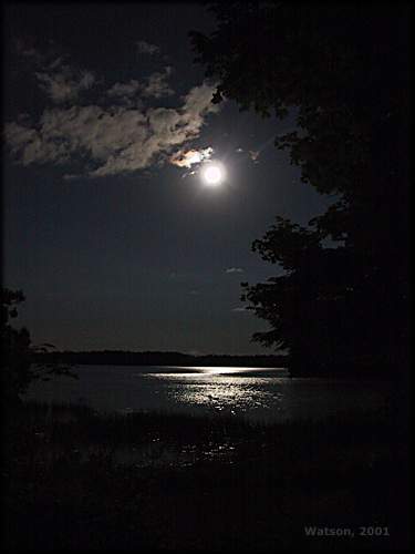 [moonlight2.jpg]