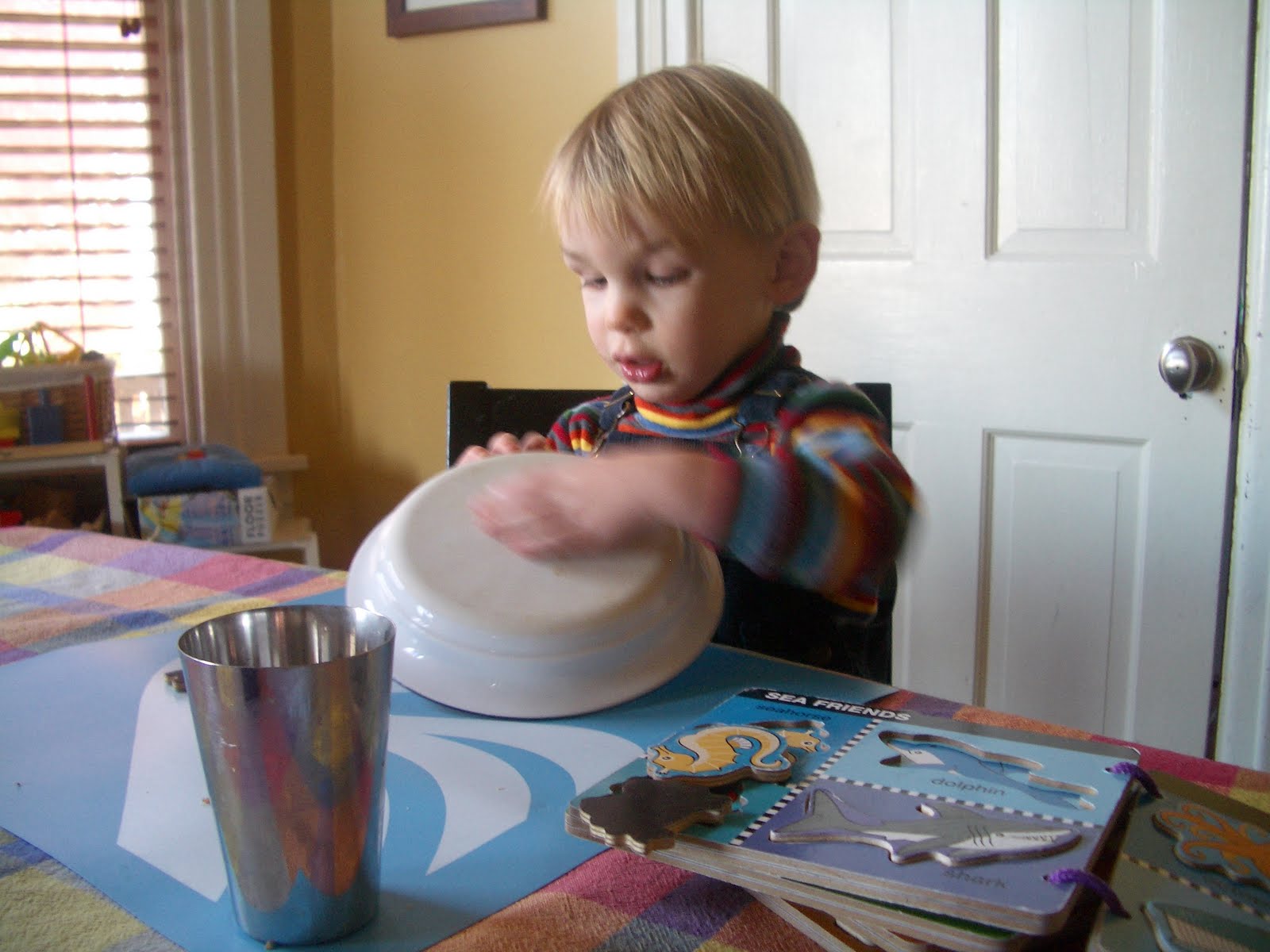 [january+2010+006.JPG]