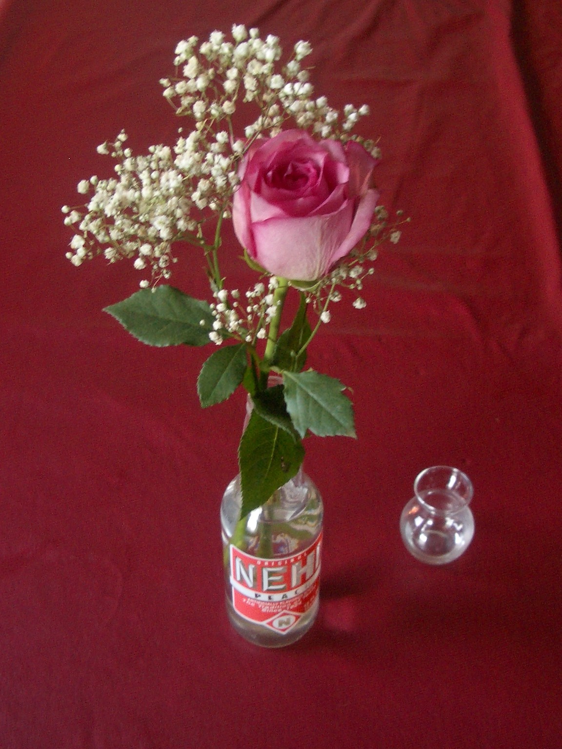 [feb+2010+019.JPG]