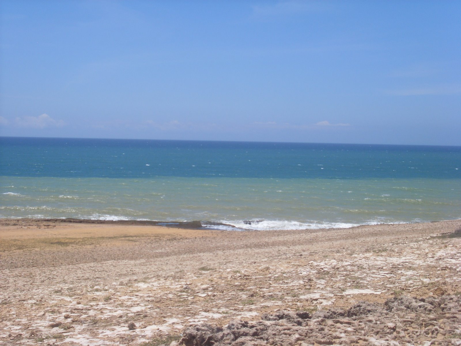 [SL372488.JPG]
