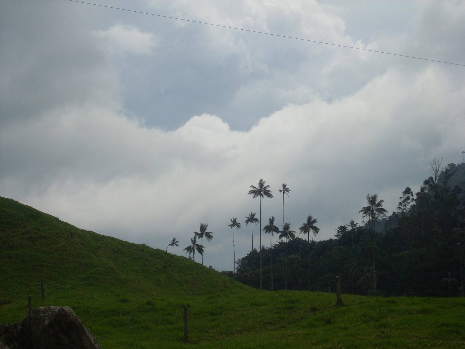 [SL372655.JPG]