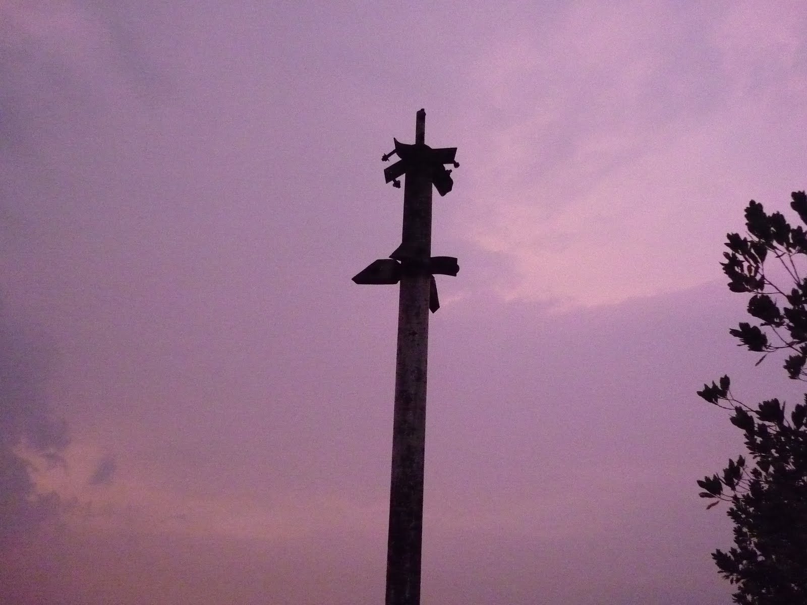 [P1030963.JPG]