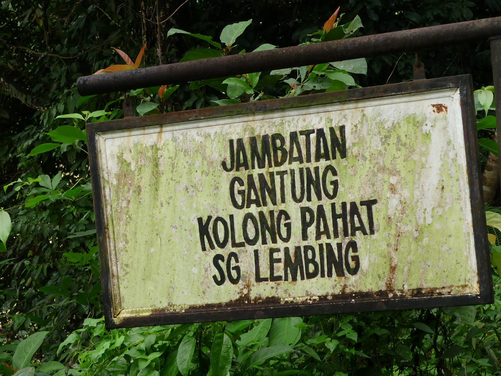 [P1040004.JPG]