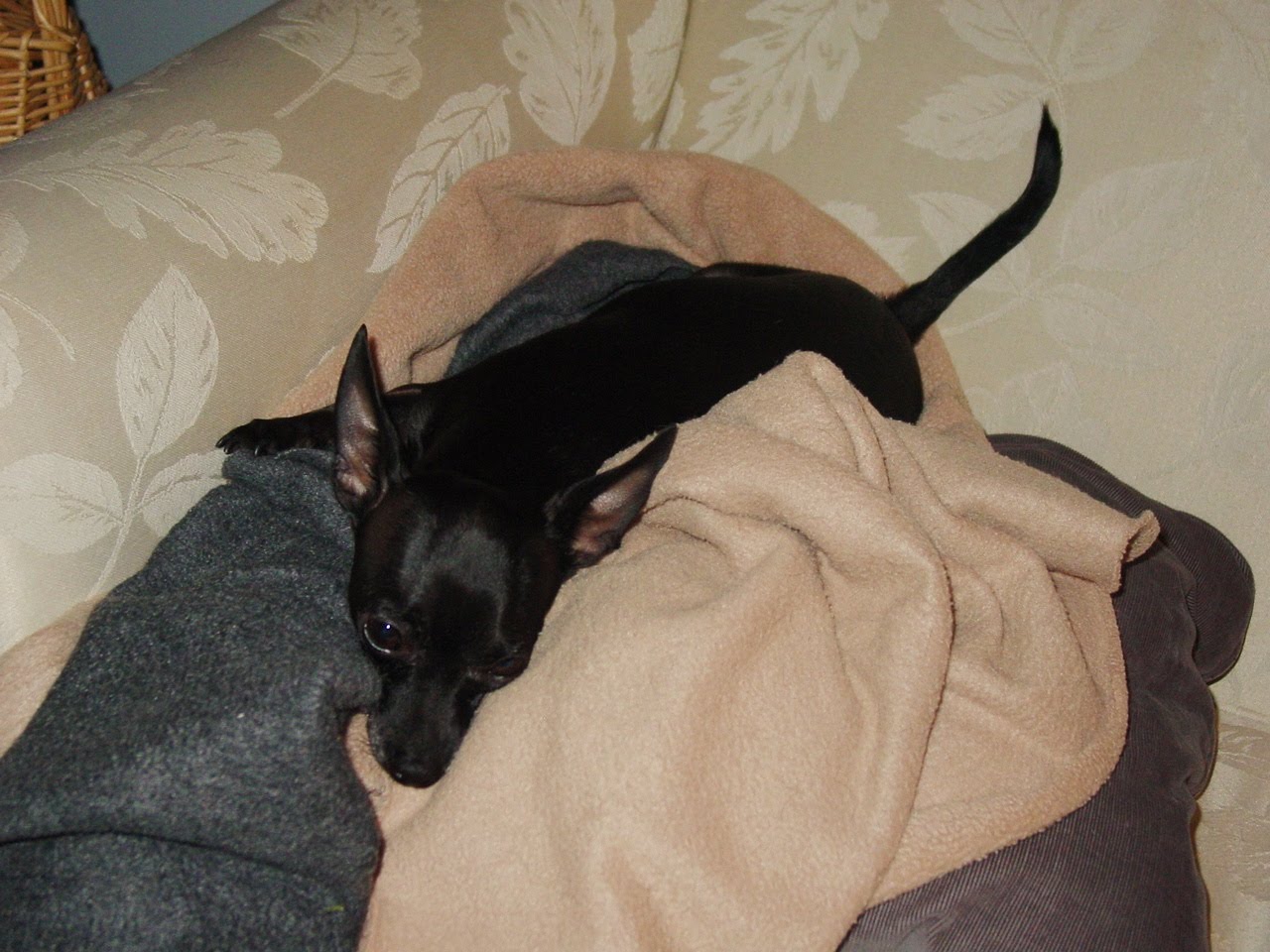 [DSC05136.JPG]