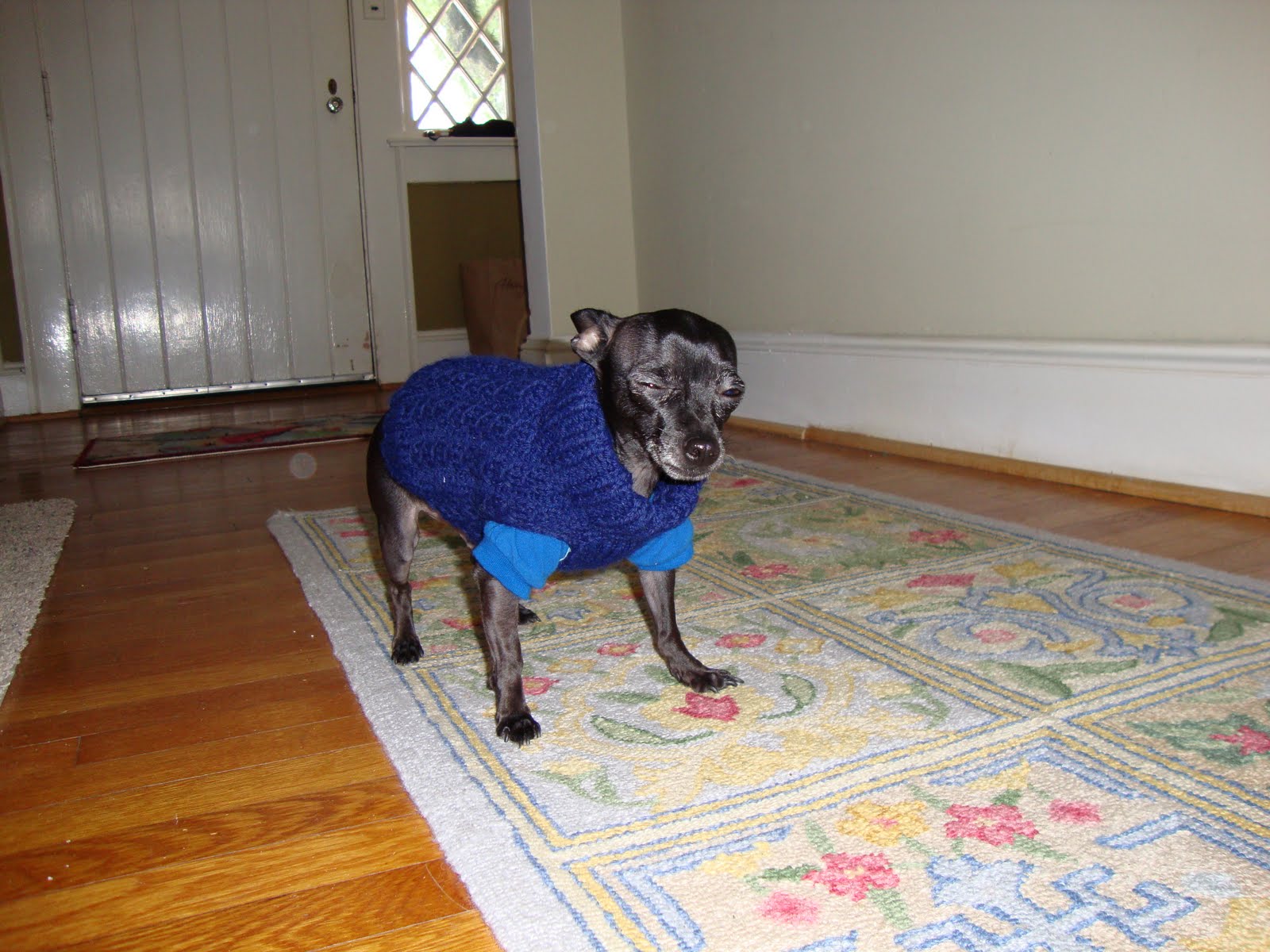 [DSC00189.JPG]