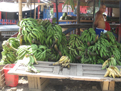 Lots of Bananas