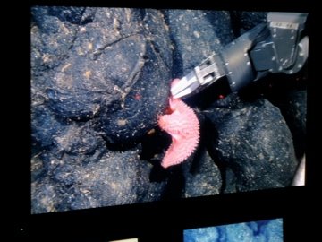 [8821_283836420226_630500226_8944434_3065401_n.jpg]