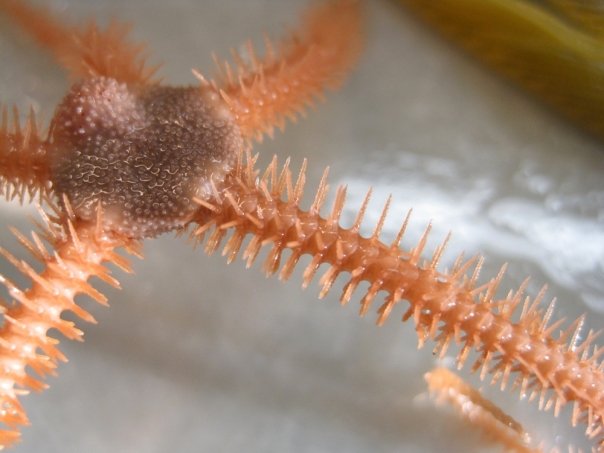 [9416_131081078060_502188060_2577962_4703361_n.jpg]