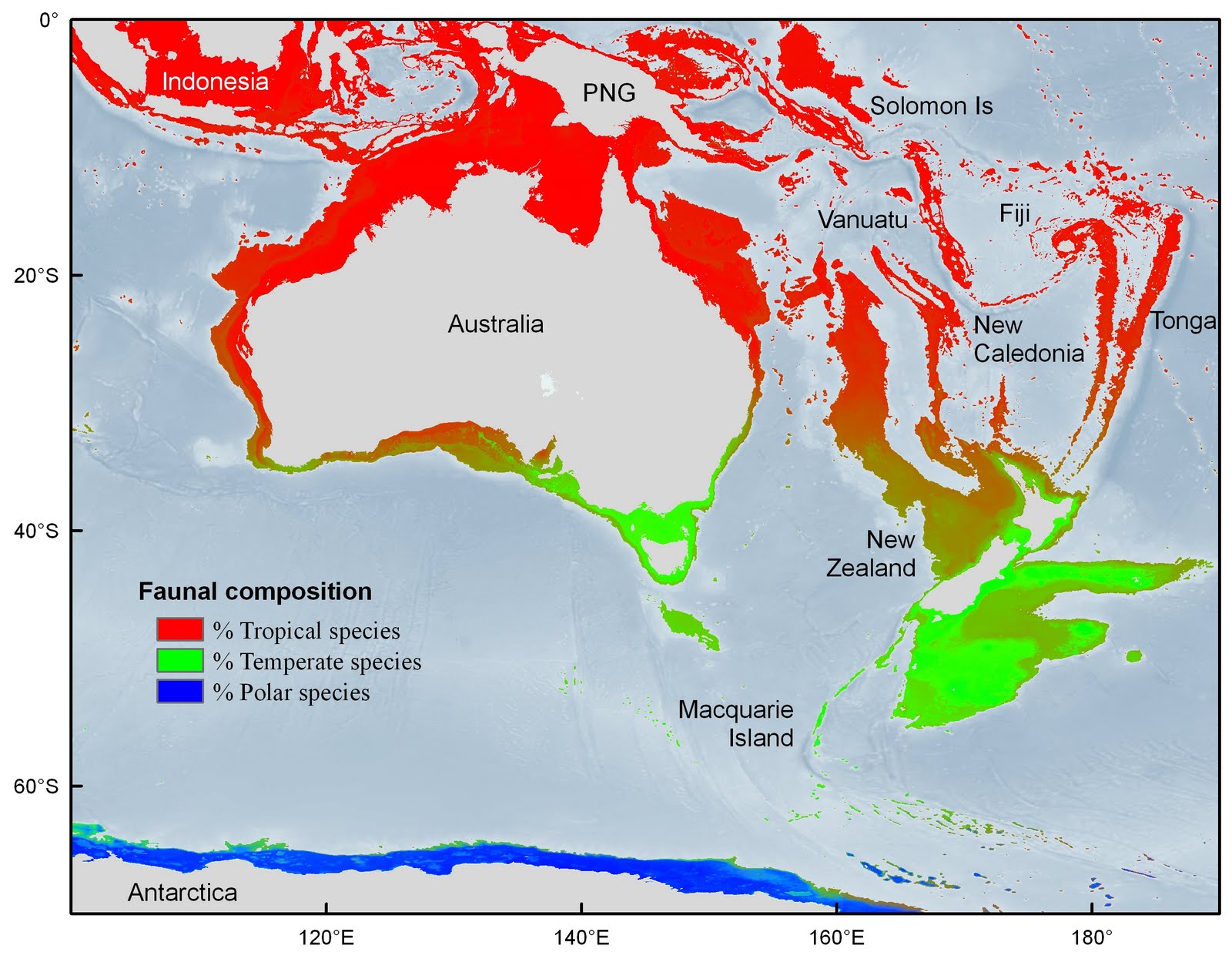 The Echinoblog DeepSea Brittle Stars Occur in Lateral Bands!!