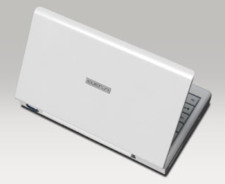 Raon Digital prepping SSD-based Everun Note UMPCs