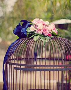[navy+blue+pink+birdcage.jpg]