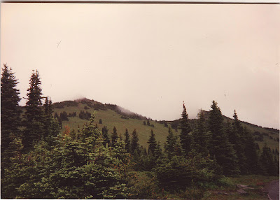 Annieinaustin, Mt Rainier meadow 1990's