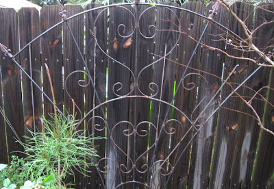 Annieinaustin, wire fan trellis
