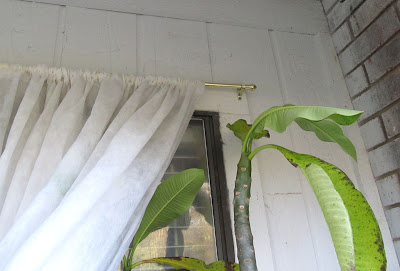 Annieinaustin,2011,02,fabric on rod