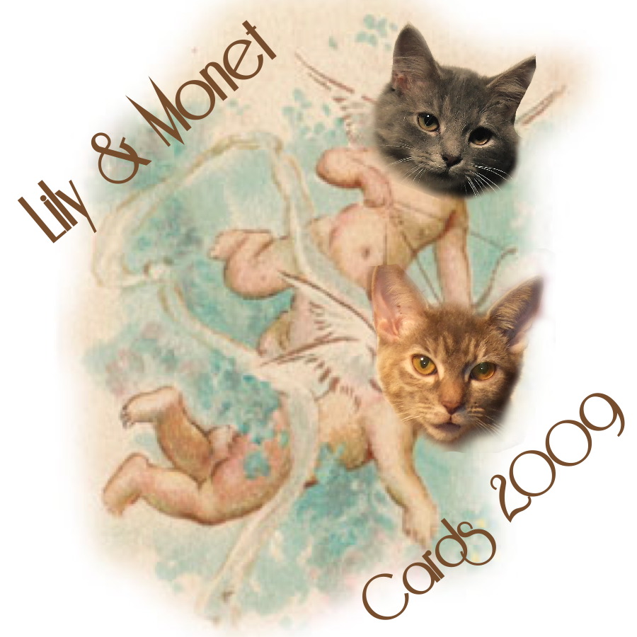 [LilyMonetCards2009.jpg]