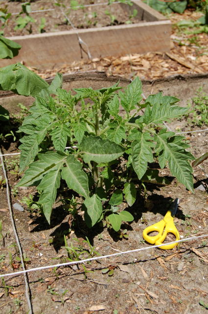 [W07_0186.JPG]