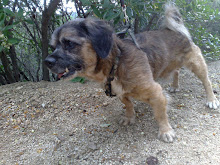 Fito