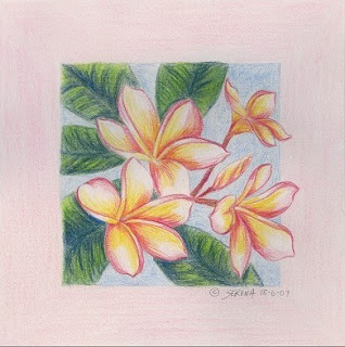 Sketches Of Frangipanis