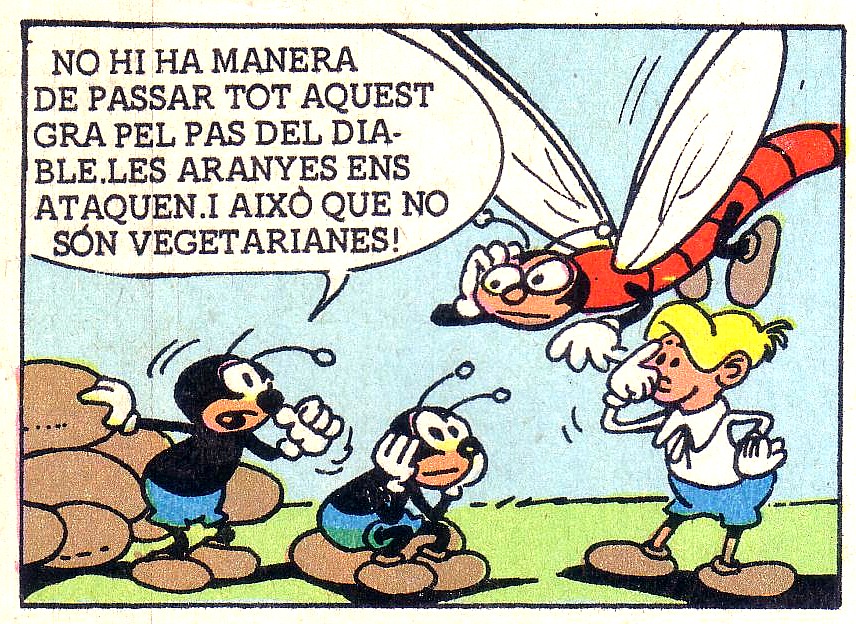 [figoifdi78.JPG]