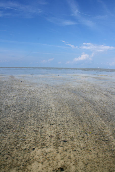 [IMG_1079.jpg]