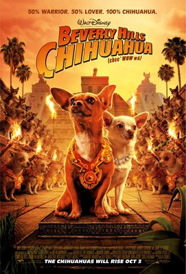 [chihuahua.jpg]
