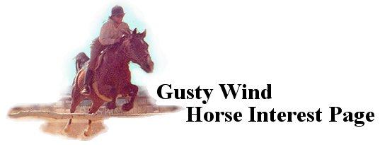 Gusty Wind Acres Riding School, Inc.