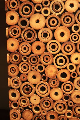 photography bamboo circles