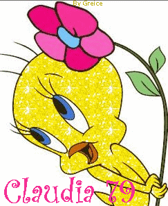 PAIXÃO POR PONTO DE CRUZ