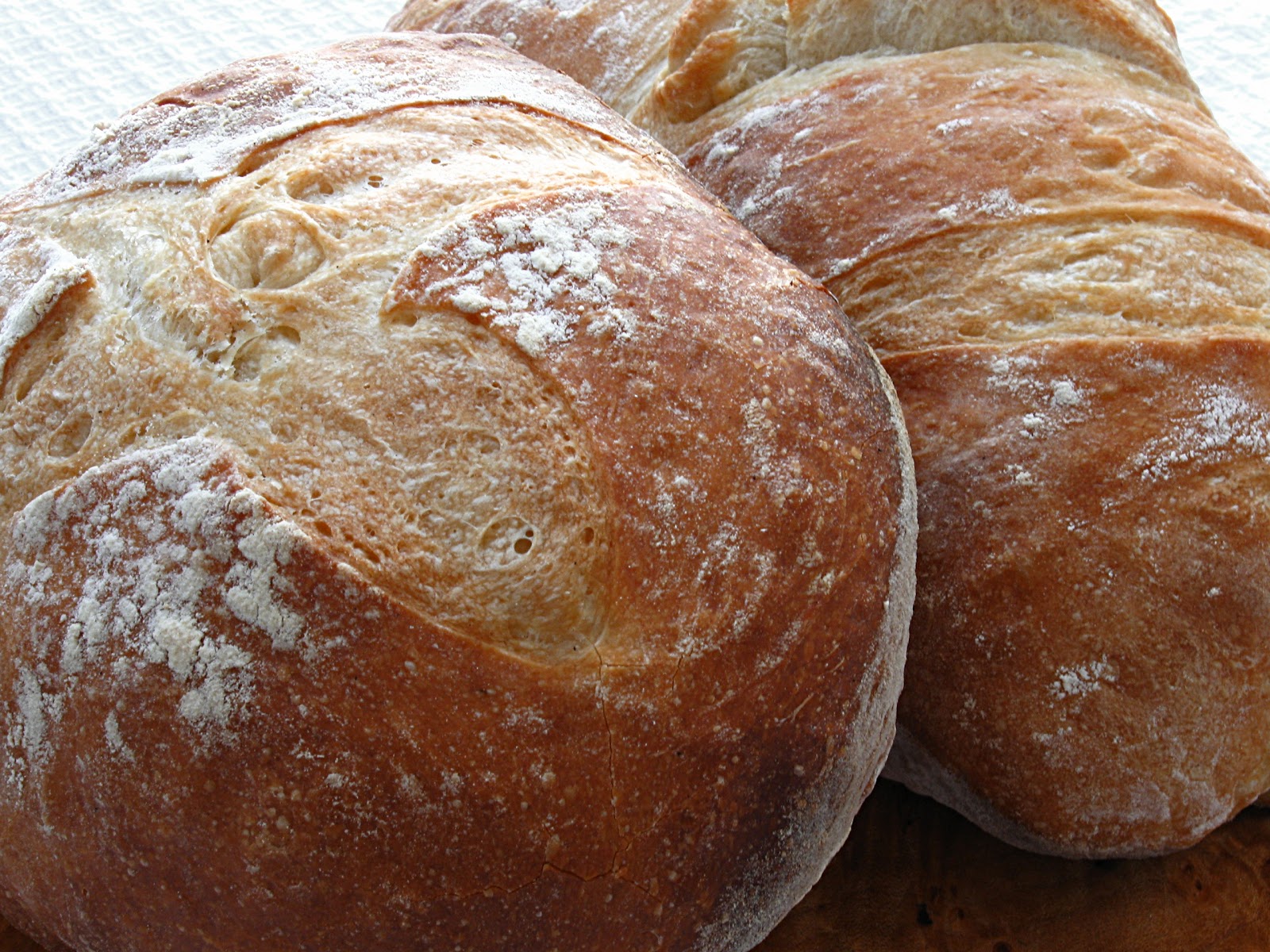 All That Splatters French Bread