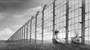 El trabajo os hará libres