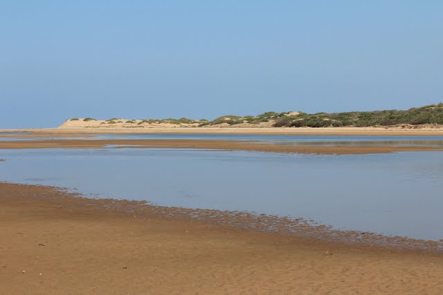 Sidi essay massa maroczik