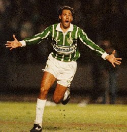 camisa palmeiras parmalat adidas