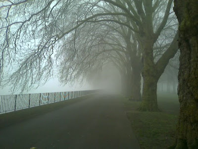 Foggy Evening