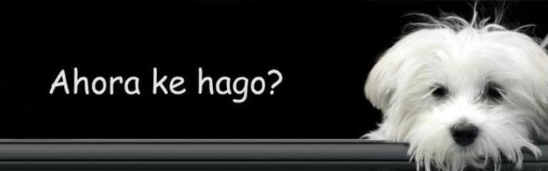 ahora ke hago?