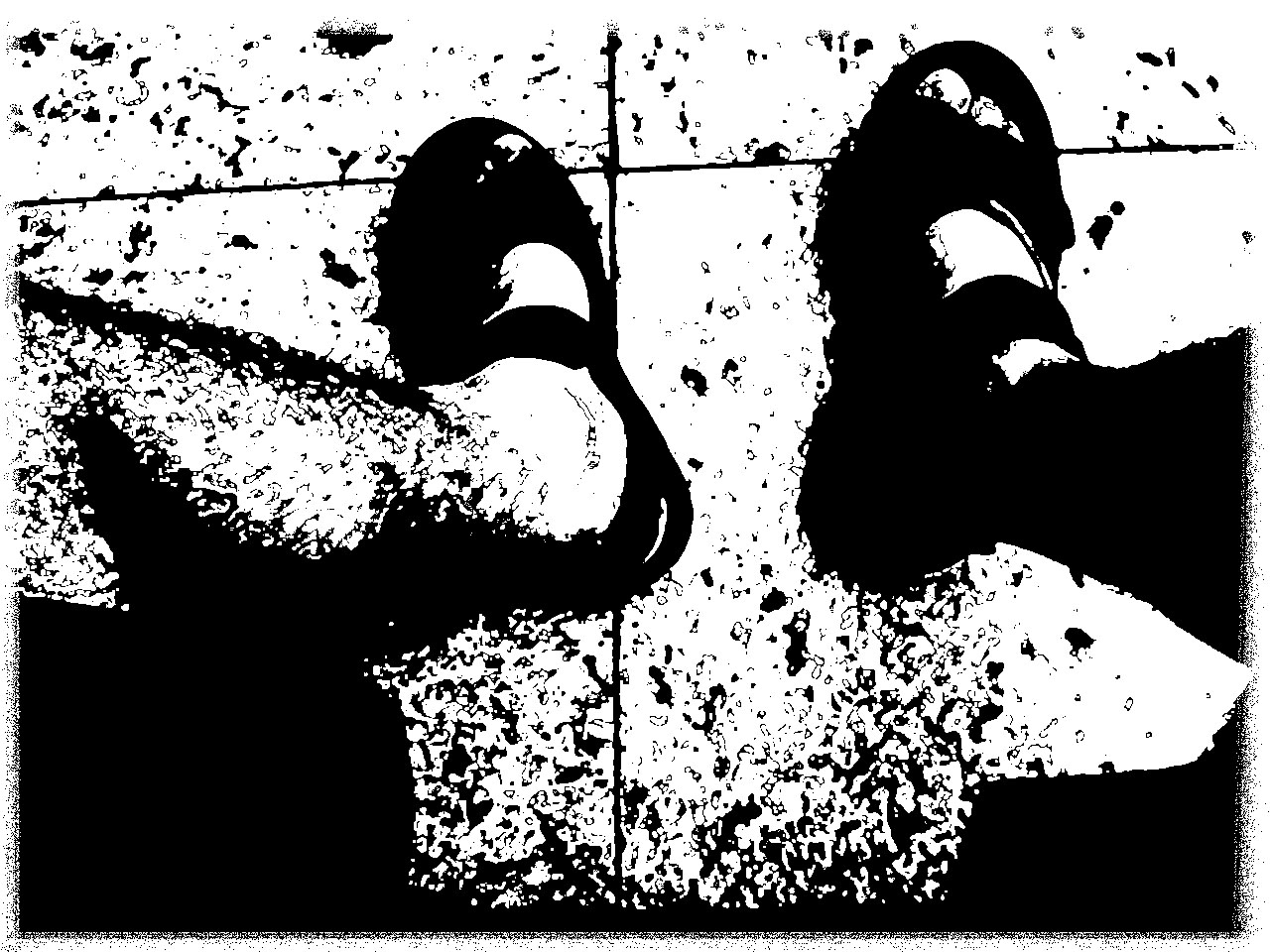 [12h59min+-+pernas.JPG]