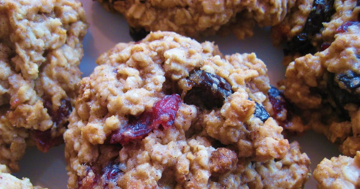 Treat a Week Recipes Fruit and Nut Oatmeal Cookies